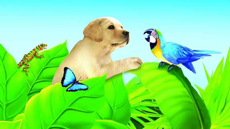 Puppy in a Jungle, labrador, birds, pets, puppies, butterfly, plants, wildlife, nature, dogs, HD wallpaper