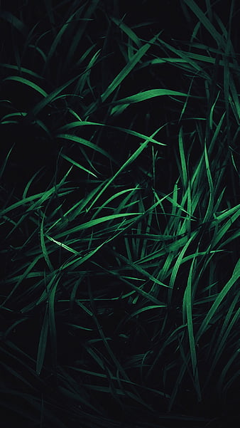 green relaxing background