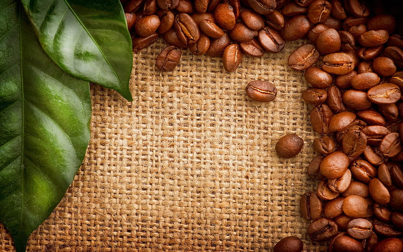 Coffee, brown, beans, leave, green leave, coffee beans, coffee bean, leaves, green, green leaves, HD wallpaper