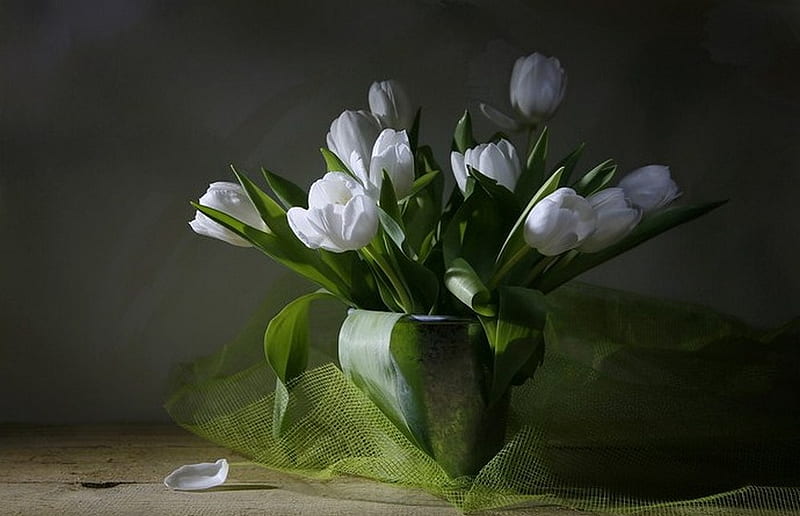 White Tulips...For Karyn, with love, pretty, vase, bonito, still life, white tulip, green, flowers, beauty, tulips, for you, tulip, lovely, romantic, still, karyn, nature, petals, white tulips, white, HD wallpaper