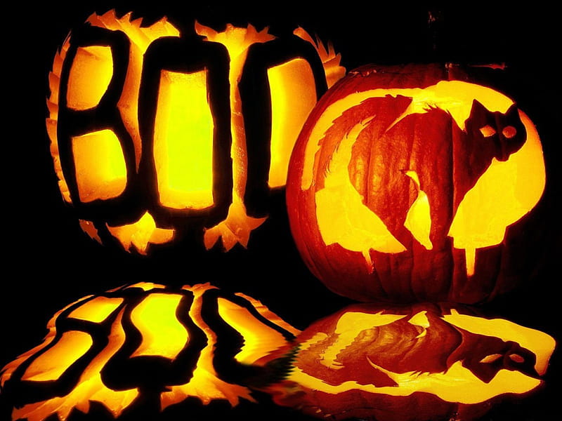 Boo, irish, halloween, town, scarry, cat, angry, pumpkin, dark, samhain, celtic, HD wallpaper