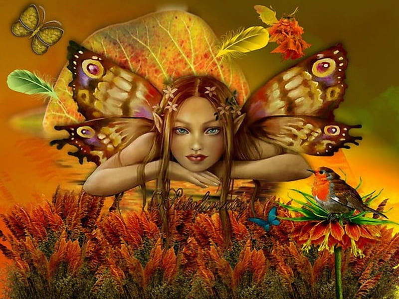 Butterfly Love, bug, fantasy, female, girl, insect, HD wallpaper | Peakpx