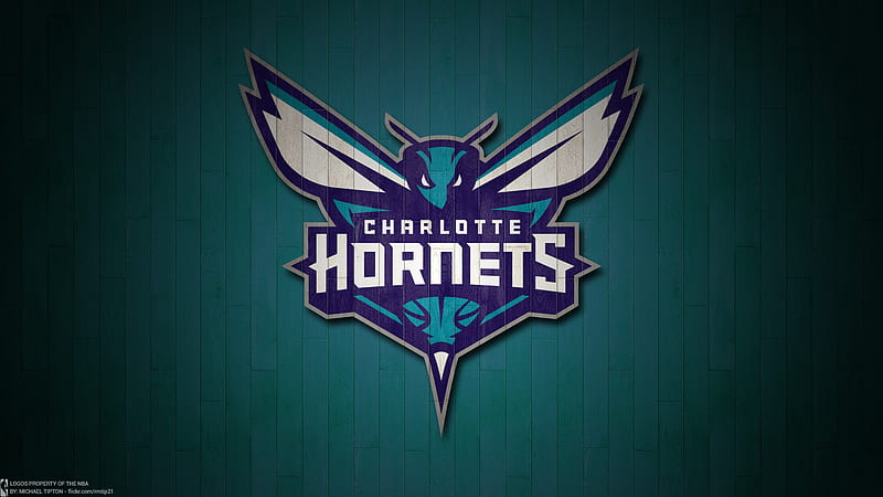 Sports, Basketball, Charlotte Hornets, HD wallpaper