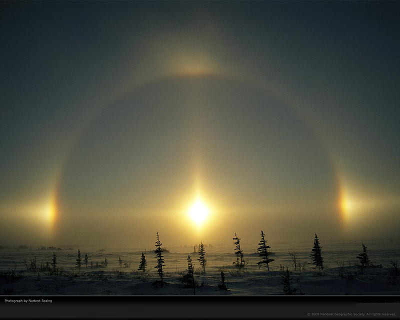 polar-phenomena-rosing-SUNDOG, sun, sundog, bright, polar, nature, trees, sky, HD wallpaper