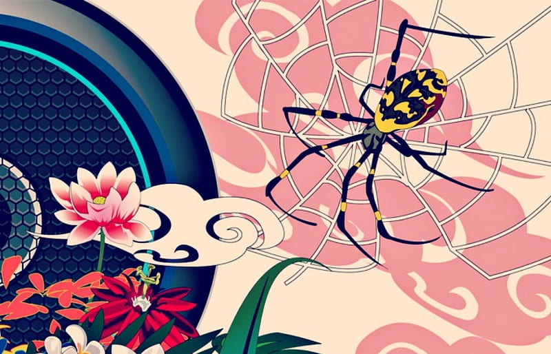 The spider, red, lotus, cloud, yellow, spider, green, web, flower, white, pink, blue, vector, HD wallpaper