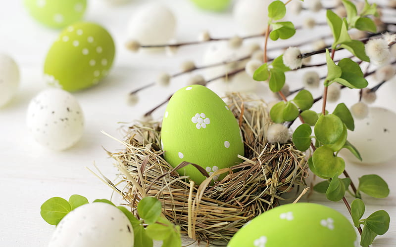 Easter, green easter eggs, willow branch, nest, Happy Easter, HD wallpaper