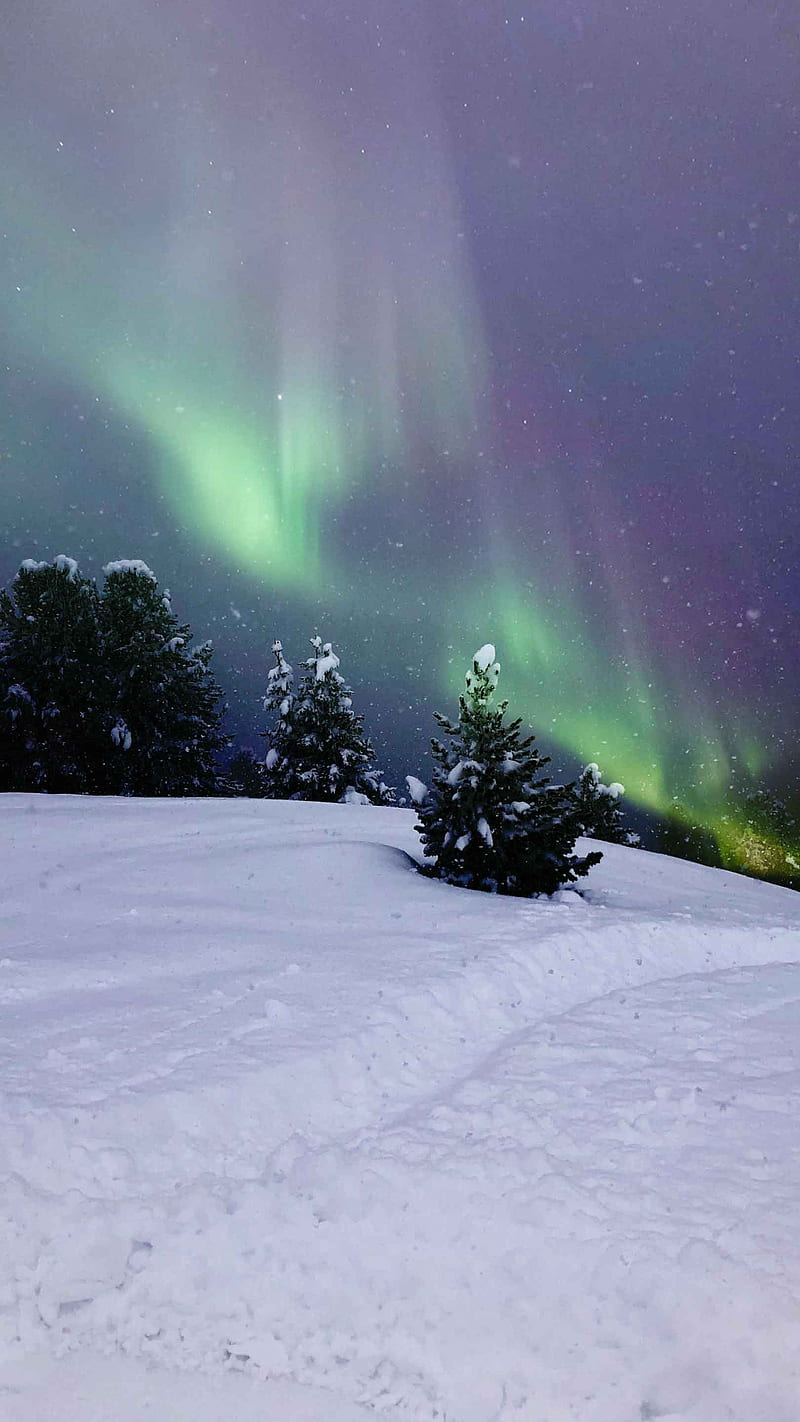 Purple Cosmos Lights, aurora, blue, cool, cosmic, green, nature, night, sky, snow, white, HD phone wallpaper