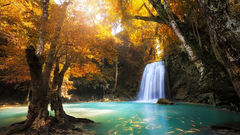 Waterfall in autumn forest, rocks, fall, river, colors, trees, pond, HD ...