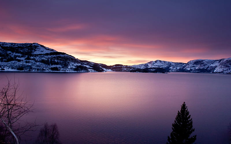 Purple Sunset On A Lake, HD wallpaper