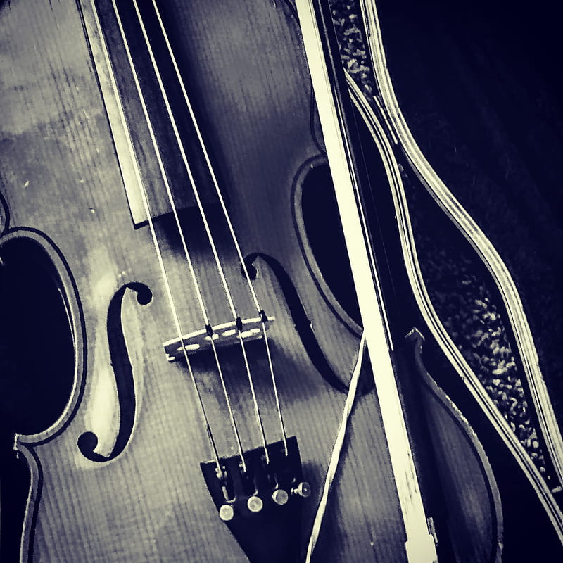 Victorian Violin, dark, music, old, orchestra, orchestral, strings, vintage, viola, HD phone wallpaper
