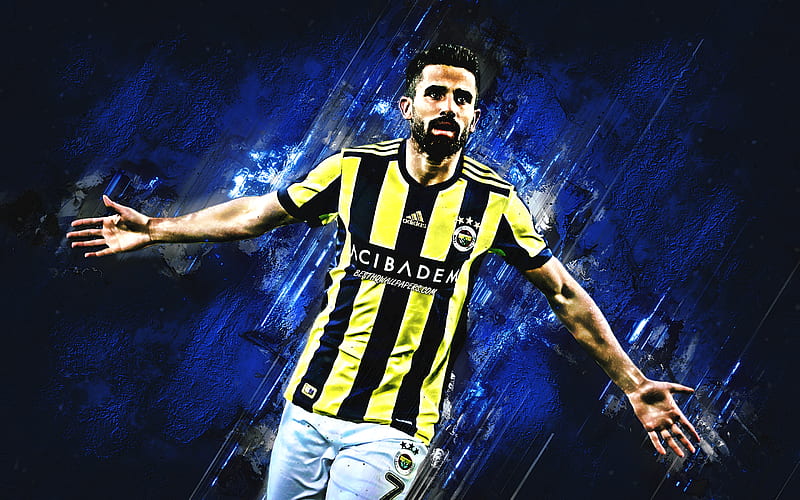 Alper Potuk, goal, Fenerbahce FC, turkish footballers, blue stone, soccer, Potuk, Turkish Super Lig, Fenerbahce SK, Turkey, HD wallpaper