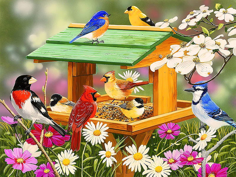 Backyard birds spring feast, pretty, art, lovely, birds, bonito, spring, joy, freshness, cardinals, gathering, birdhouse, flowers, blooms, blooming, backyard, HD wallpaper
