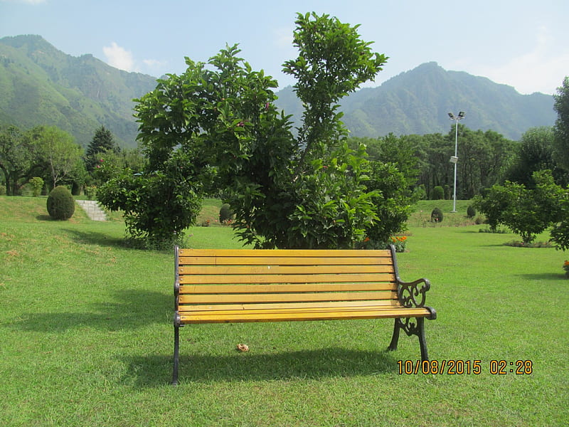 Btinical Garden Kashmir, Kashmir Garden, Chinar, Garden, Lovely, HD  wallpaper | Peakpx