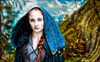game of thrones houses meaning 2 game of thrones houses meaning 35