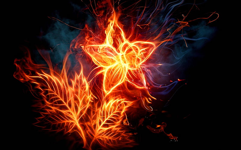 burning flower, darkness, fire flames, abstract art, flower of fire, flowers, smoke, flower on fire, HD wallpaper