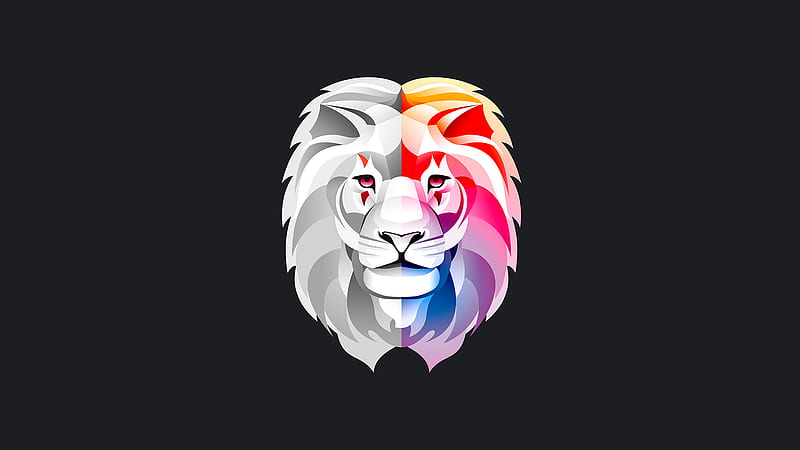 Lion Vector, HD wallpaper