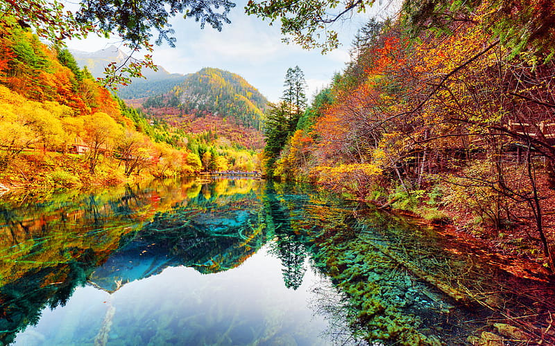 Jiuzhaigou National Park autumn, emerald lake, mountains, yellow trees, forest, autumn landscape, China, HD wallpaper