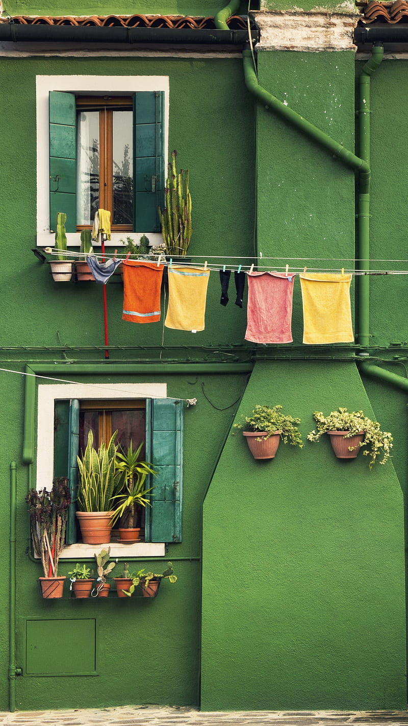 Hanged towels, colorful, flowers, green, green wall, house, plants, windows, HD phone wallpaper