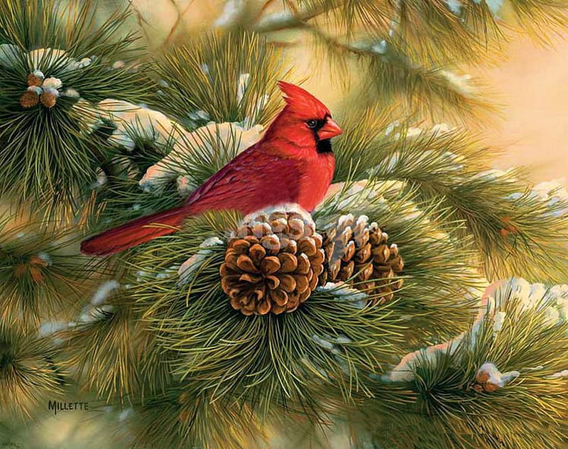 Winter Cardinal, red, tree, bird, pine, snow, pinecone, artwork, HD wallpaper