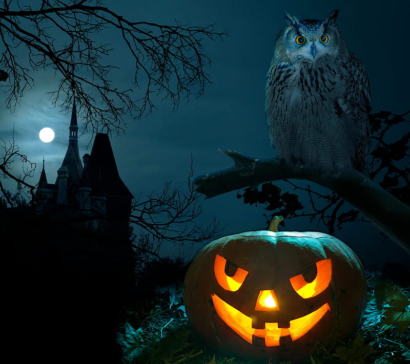 Halloween, happy, night, owl, pumpkin, scary, HD wallpaper