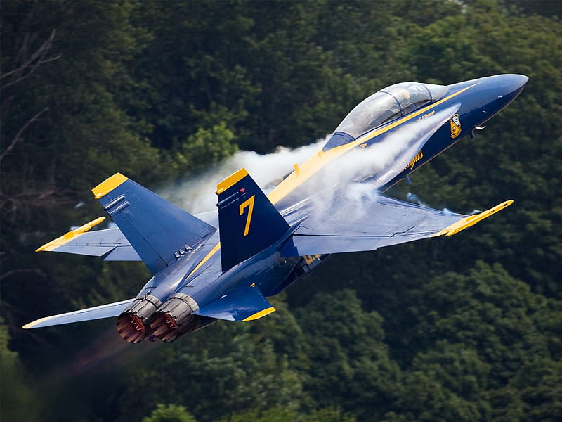 F-18 Hornet, f18, united states air force, display team, blue angels, HD wallpaper