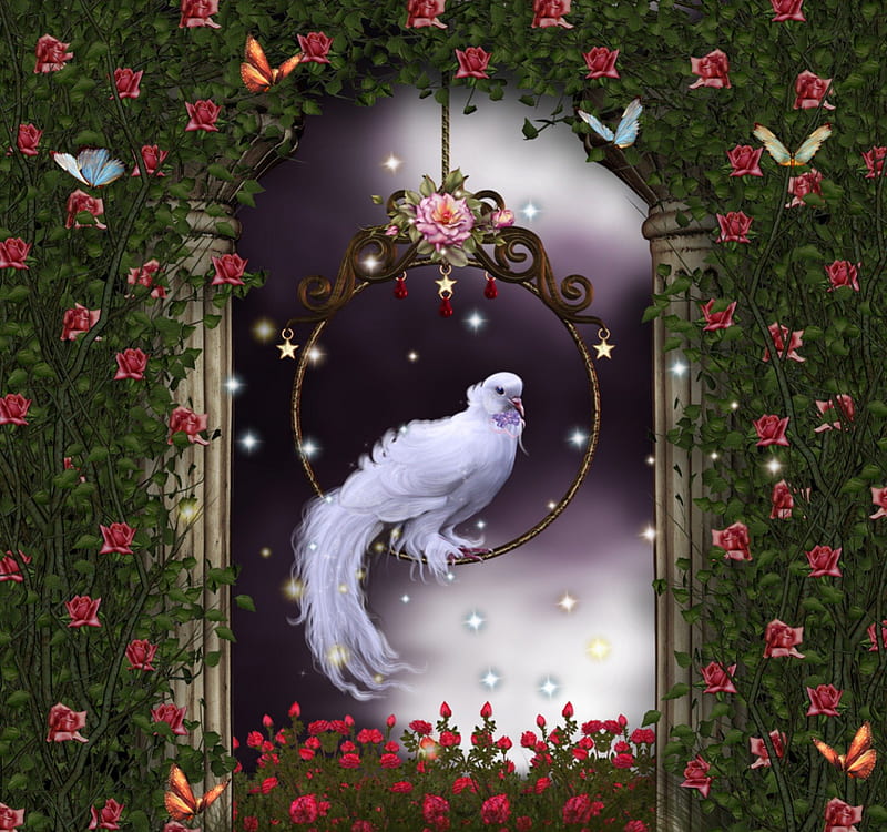 ✼Dove n Butterflies in Rose Garden✼, rocks, pretty, grass, premade BG, creeping plants, softness beauty, attractions in dreams, bonito, pillars, stock , exterior, flowers, resources, animals, lovely, window, balcony, colors, love four seasons, creative pre-made, butterflies, drape, wall, roses, cute, bird, plants, dove, garden, gardens and parks, HD wallpaper