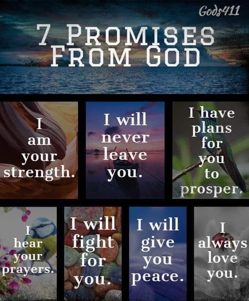 7 promises, god, love, loyalty, religious, HD phone wallpaper