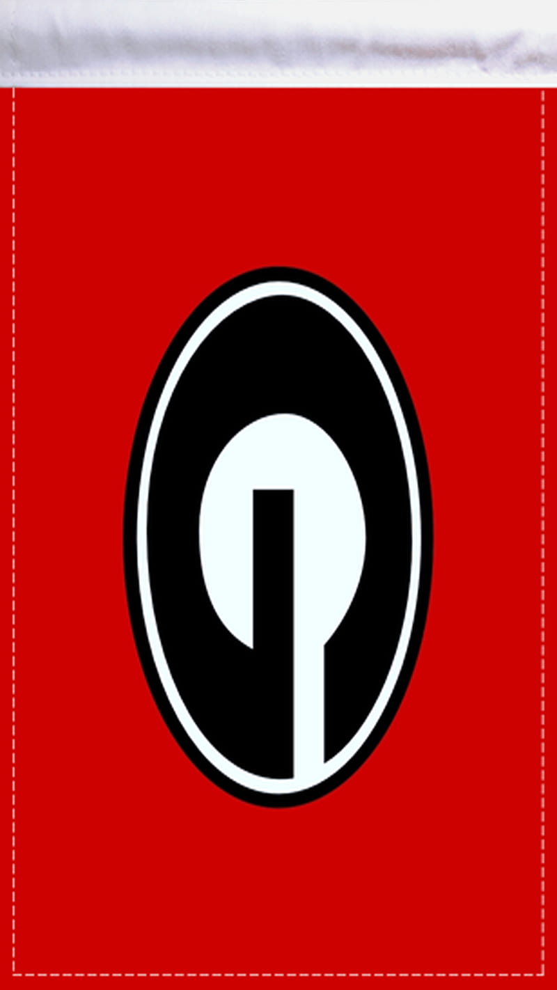 Georgia Bulldogs Champion Logo - NCAA Division I (d-h) (NCAA d-h