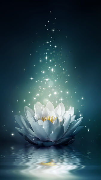Water lily, lotus, flower, green, HD phone wallpaper | Peakpx