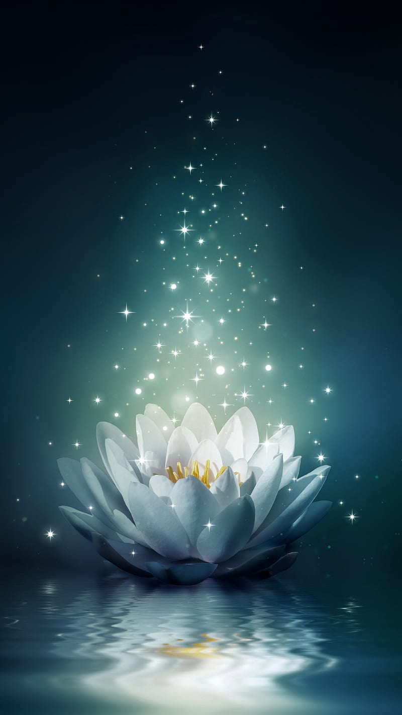 Flower on Water, blue, nice, lilies, dark, lotus, flower, HD phone wallpaper  | Peakpx