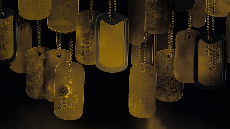 Dog Tag Ghost Recon Breakpoint, HD wallpaper