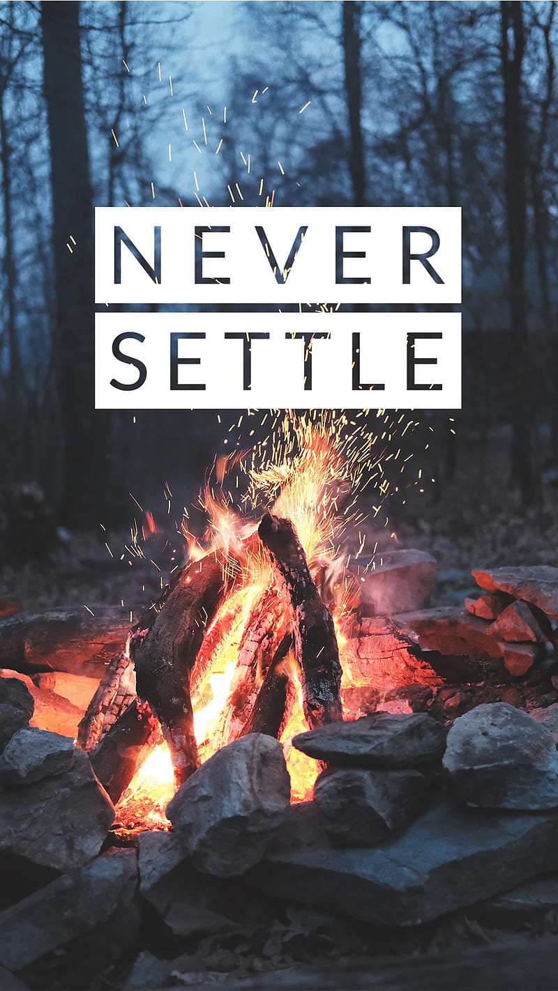 Fire never settle, bornfire, dark, nature, never settle, night, wood, HD  phone wallpaper | Peakpx