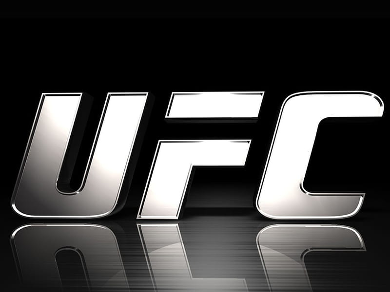 Silver UFC, mma, logo, fight, black, ufc, silver, HD wallpaper