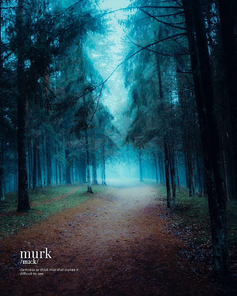 Murky Forest, Fog, Mist, Murk, chill, cold, forest, latvia, vithurshan, vithurshan.jpeg, woods, HD phone wallpaper