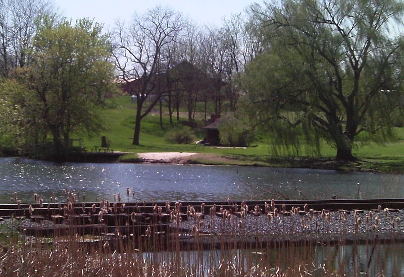 tracks over pond, pond, train tracks, cattails, willows, picnic table, gazebo, barn, HD wallpaper