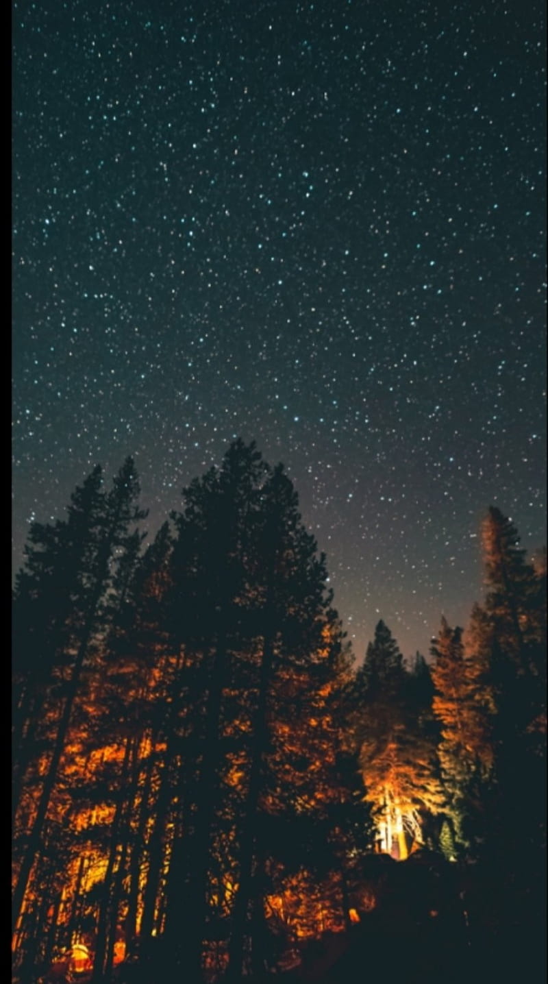 Stars over forest, aesthetic, bonito, fire, nature, nature graphy, night, sky, starry, HD phone wallpaper