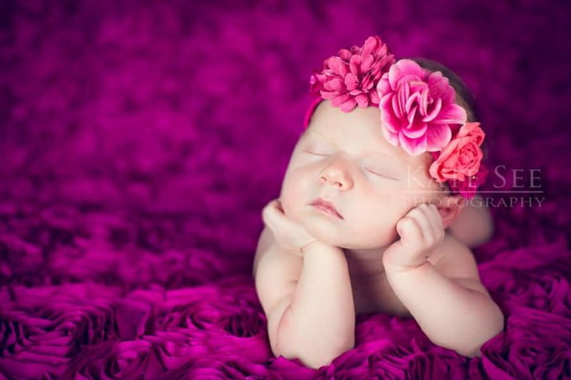 Little Angel, purple color, lovely, velvet blanket, pink hot, roses, sleeping, HD wallpaper