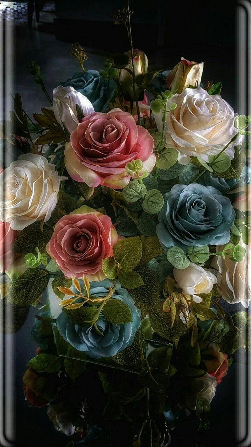 Roses with edges, curved, edge, flower, love, rose, HD phone wallpaper