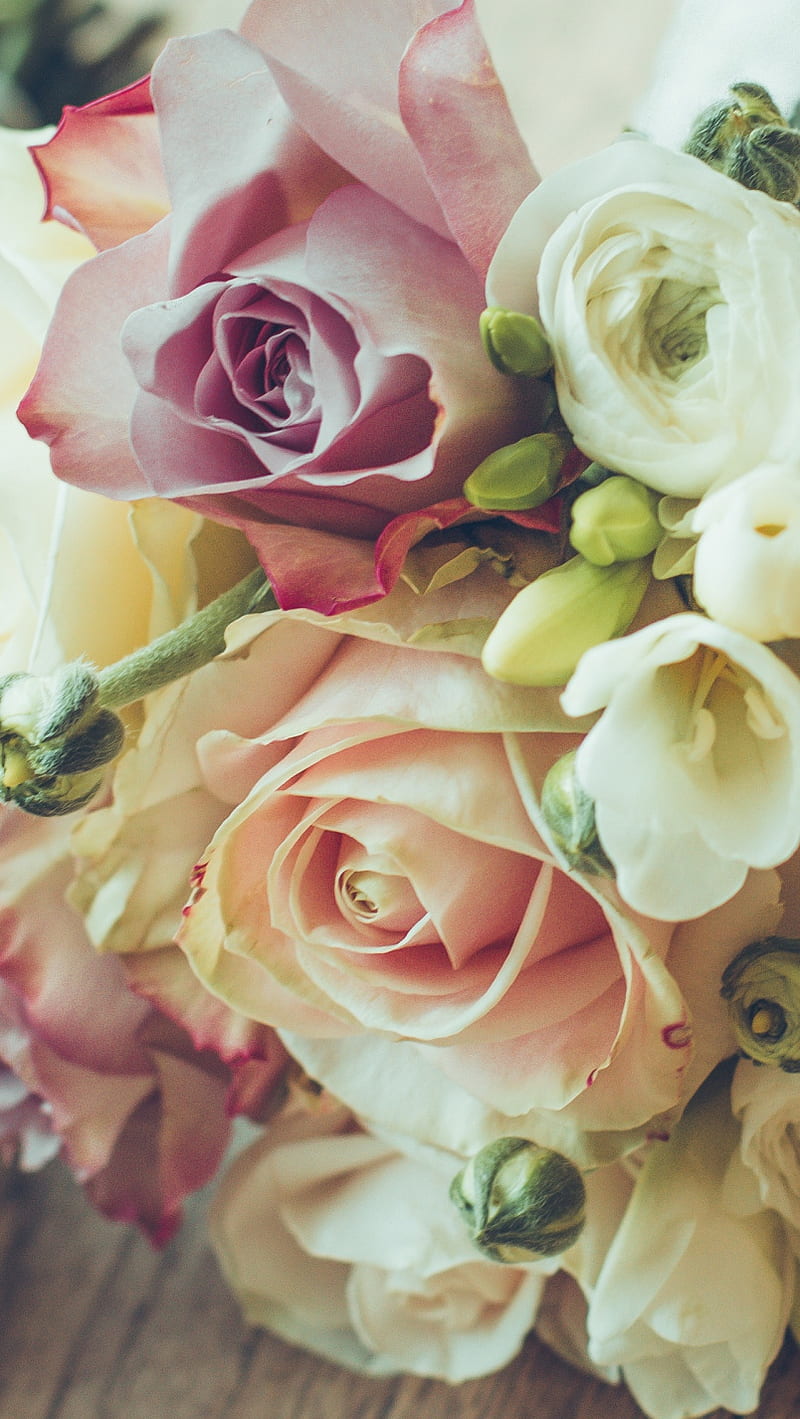 Flowers, bouquet, composition, roses, HD phone wallpaper