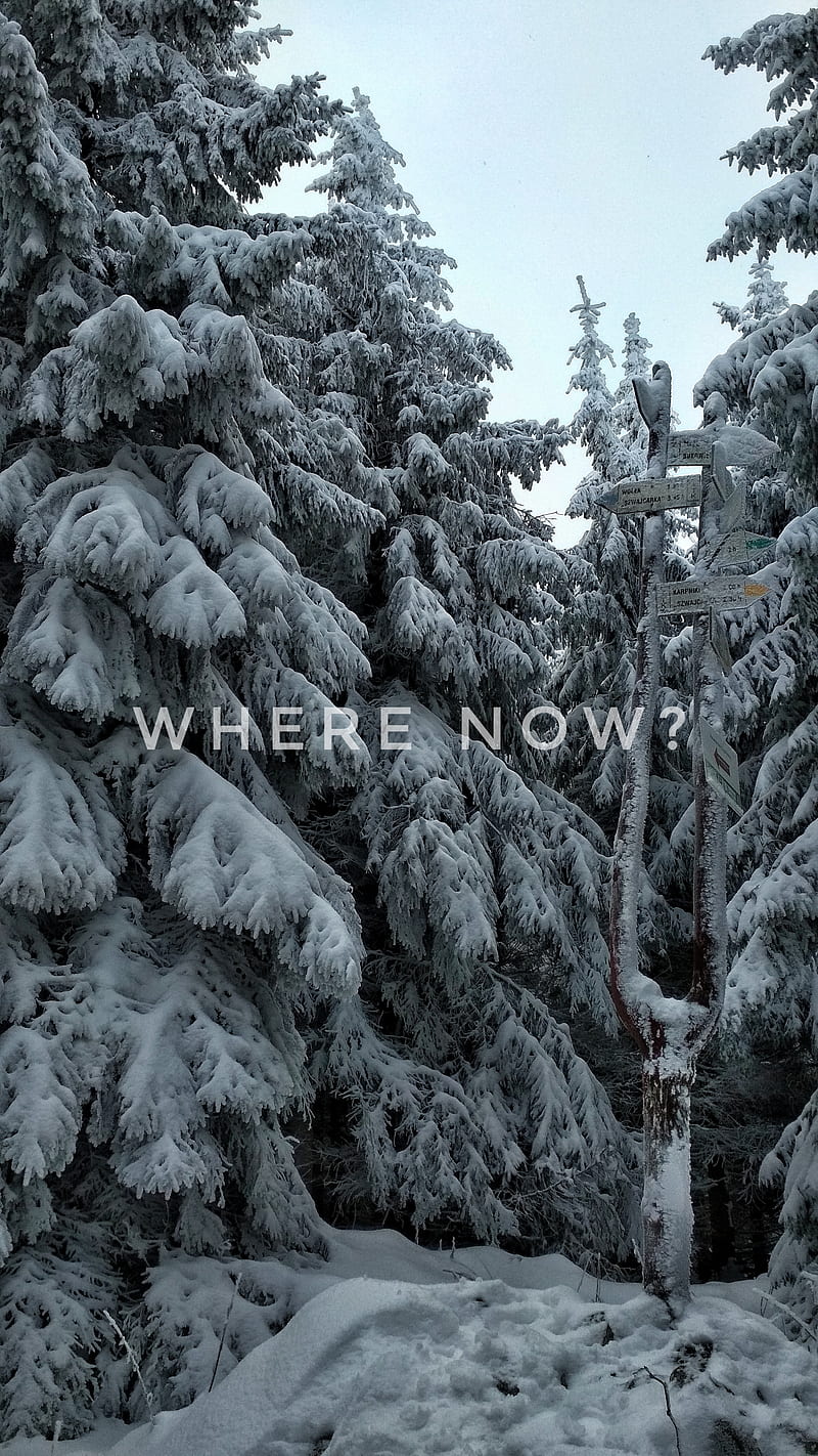 snow, cold, nature, Poland, HD phone wallpaper