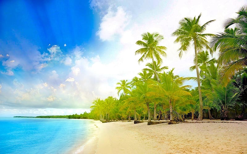 Beach, Summer, Horizon, , Tropical, Palm Tree, HD wallpaper | Peakpx