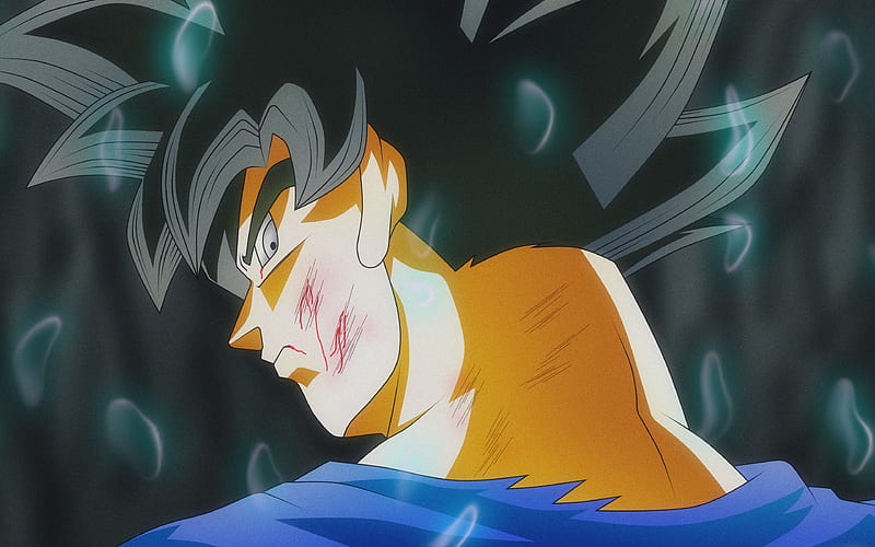 Goku luchador negro, primer plano, dbs, manga, son goku negro, dragon ball  super, Fondo de pantalla HD | Peakpx