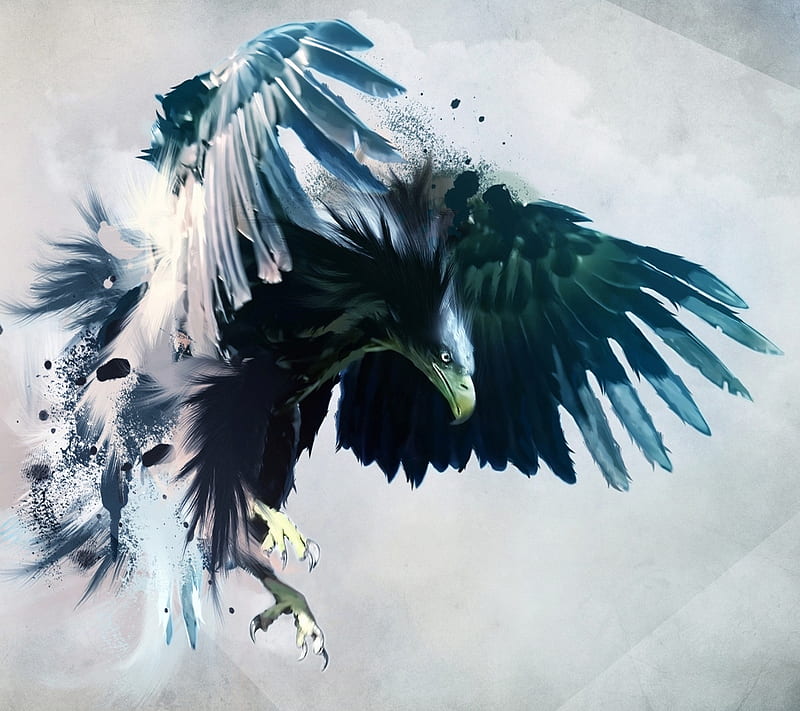 eagle, abstract, animal, bird, fly, wings, HD wallpaper