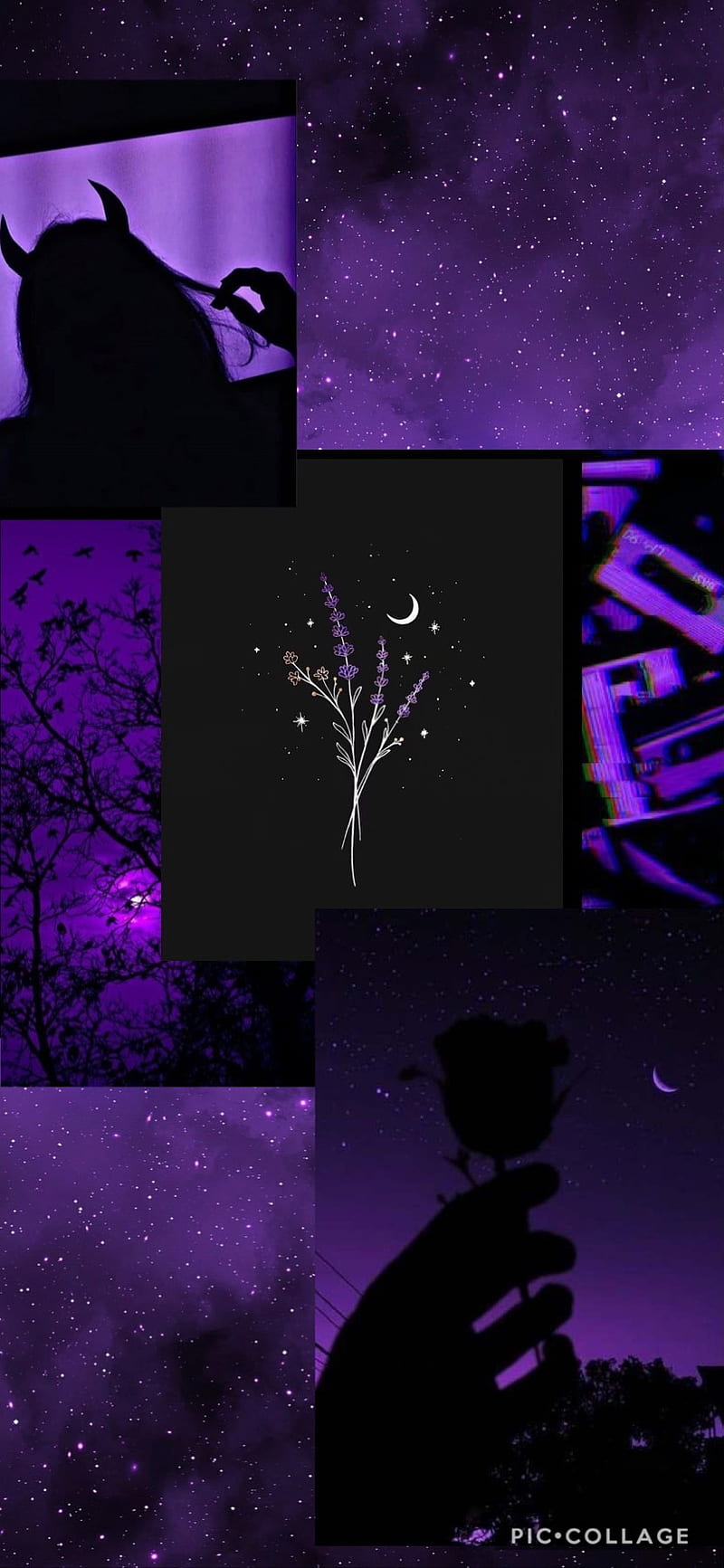 Purple sky, black, cd, christmas, clouds, moon, plant, purple, sky, star, HD phone wallpaper