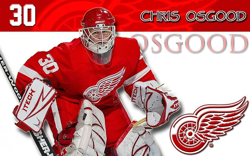 Chris Osgood, Goaltender, Ozzie, The Wizard of Oz, red wings, HD wallpaper