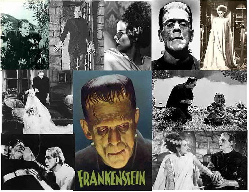 Frankenstein, frank, bride, monster, movies, HD wallpaper