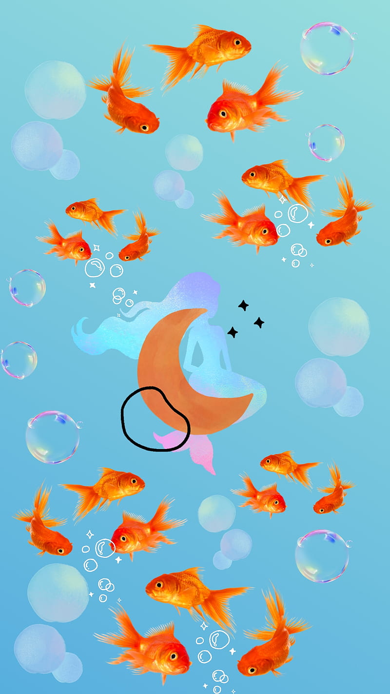 Fish, oceano, peces al agua, HD phone wallpaper