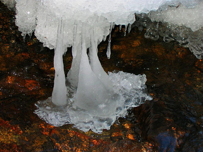 Natures Gold, ice formation, HD wallpaper