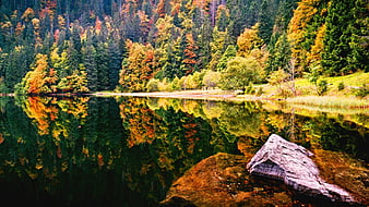 dave mirro glas house in autumn lakes