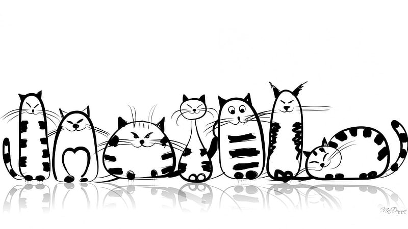 Funny Cats, skinny cats, whimsical, black and white, kittens, cartoon, pets, cats, fat cats, HD wallpaper